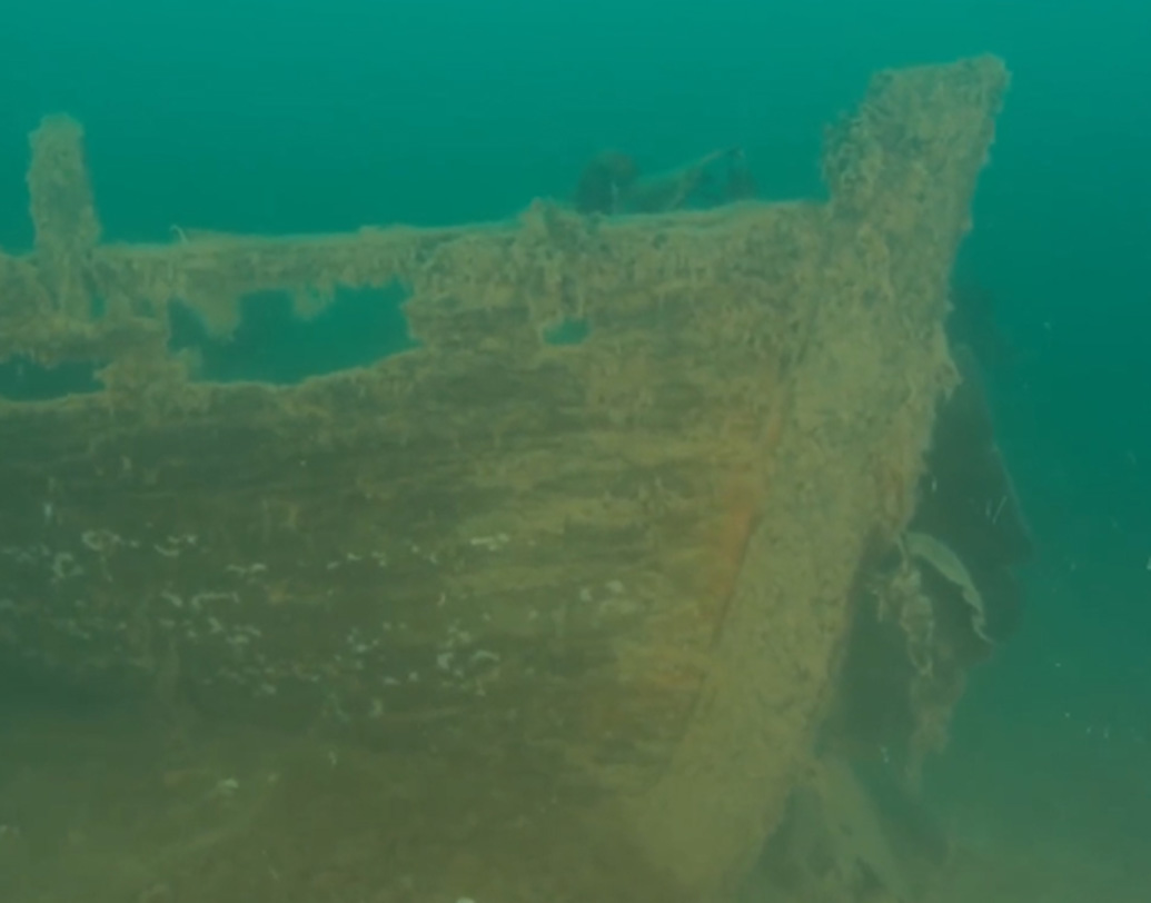 ২০১৪ এবং ২০১৬ সালে খোঁজ পাওয়া গিয়েছিল ফ্রাঙ্কলিনের সেই সমুদ্রাভিযানের দু’টি জাহাজের। তার ভিতরের পরিস্থিতি সম্প্রতি দূর নিয়ন্ত্রিত যন্ত্র দিয়ে দেখতে পেয়েছেন বিজ্ঞানীরা।