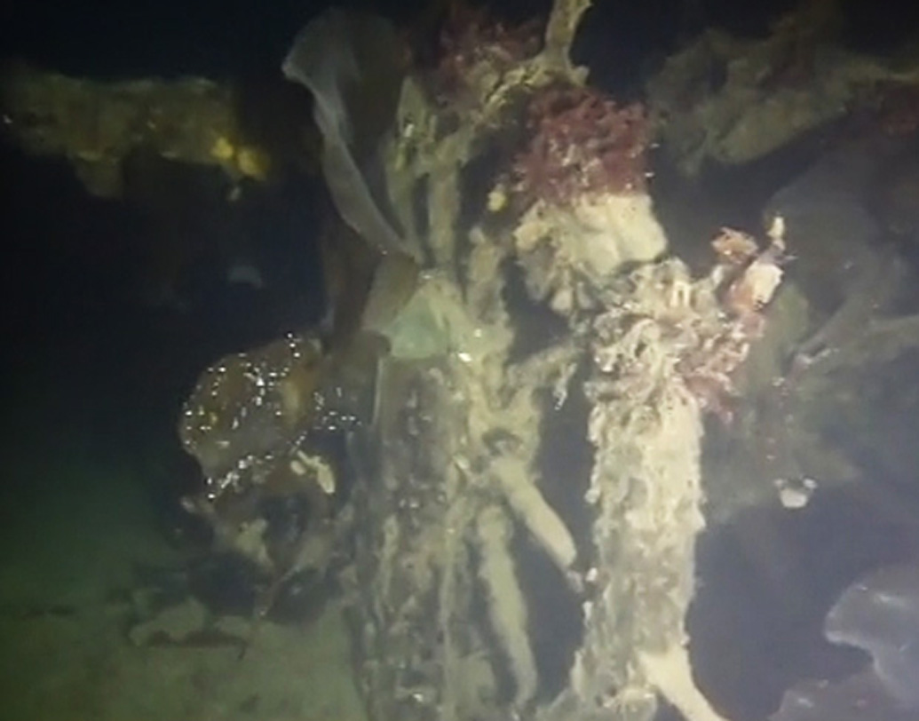 ২০১৪ সালে প্রথম এরিবাসের সন্ধান পাওয়া যায়। কিং উইলিয়াম আইল্যান্ড থেকে ৩৬ ফুট নীচে জলের তলায় সেটা আজও পড়ে রয়েছে। আর ২০১৬ সালে এই আইল্যান্ড থেকে ৮০ ফুট দূরে দেখা মেলে টেরর-এর।