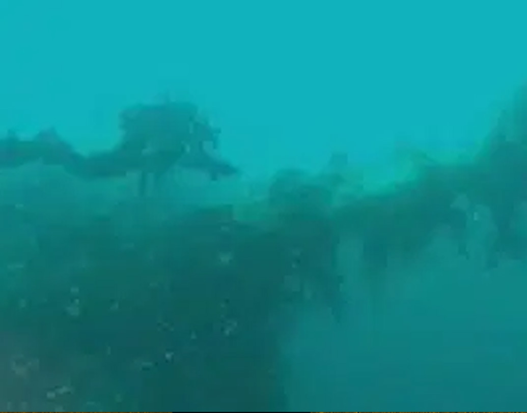 বিজ্ঞানীরা জানিয়েছেন, সমুদ্রের তলদেশে অত্যধিক ঠান্ডা এবং অন্ধকার। গুরুত্বপূর্ণ অনেক ম্যাপ এবং তথ্য যার ফলে আজও অক্ষত রয়েছে। সেগুলোই বিশ্লেষণ করে এই রহস্যের জট খুলতে চাইছেন তাঁরা।