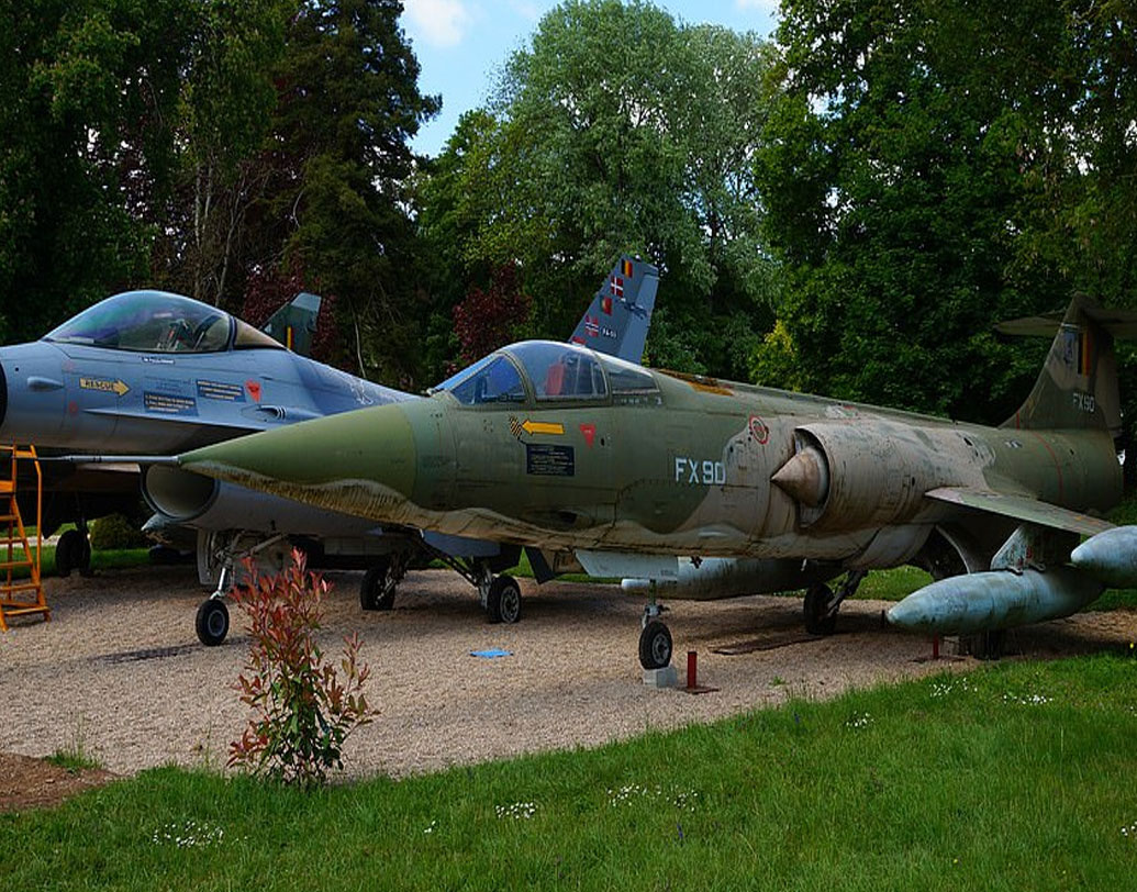 মাইকেল নিজে এক জন পাইলট ছিলেন। সেনায় থাকাকালীনই যুদ্ধবিমান সংগ্রহের নেশা চেপে যায় তাঁর। একটা, দুটো থেকে বাড়তে বাড়তে এখন ১১০টি যুদ্ধবিমানের মালিক তিনি।