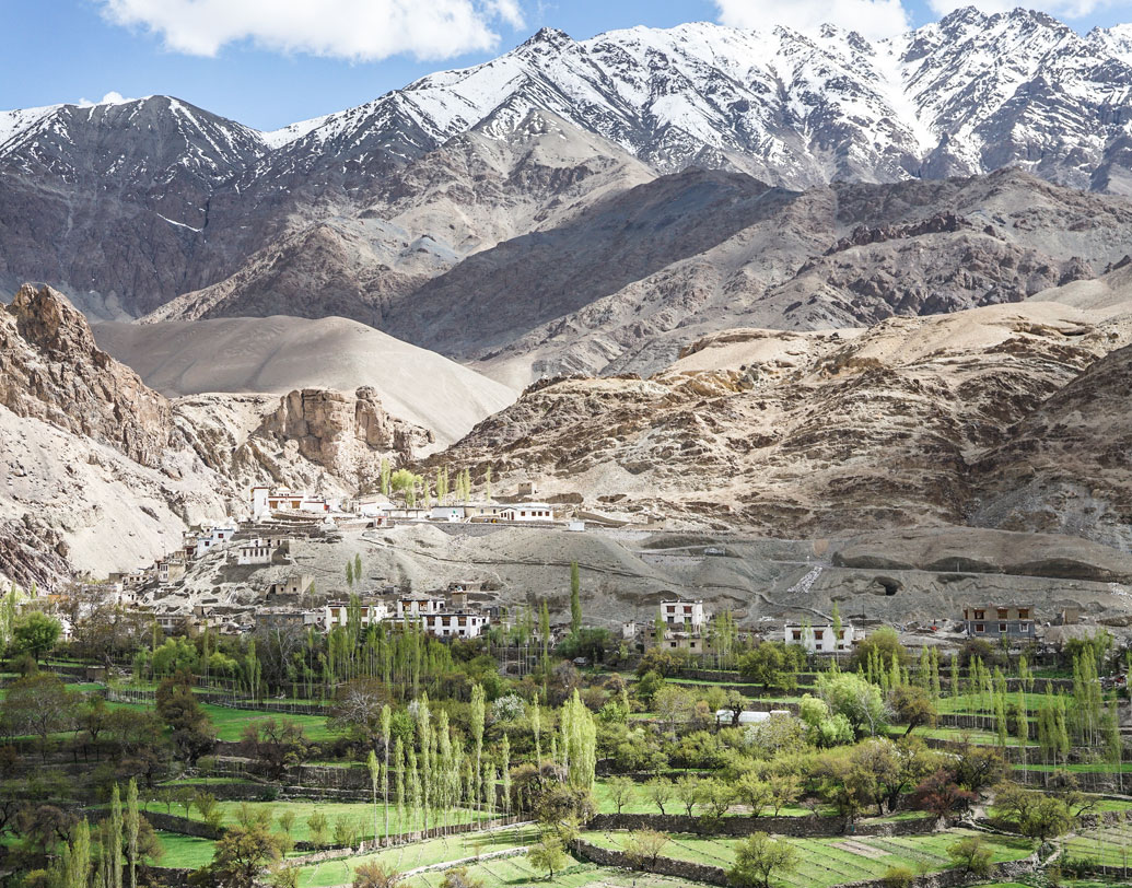 লে এবং কার্গিলের ধা, হানু, ভীমা, দারচিক আর গারকোন গ্রামে বাস ব্রোকপা বা দার্দ উপজাতির। তাঁদের দাবি, তাঁরা আলেকজান্ডারের সেনাদের বংশধর।