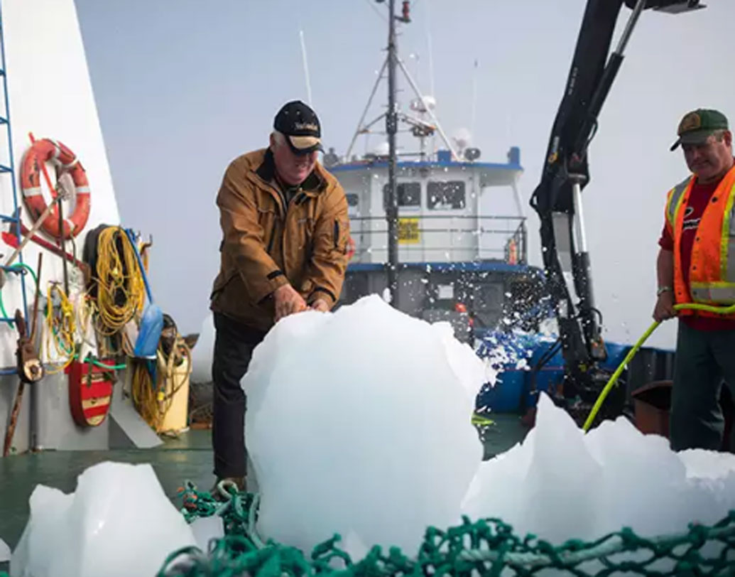 International news Meet Iceberg hunters of Atlantic ocean dgtl