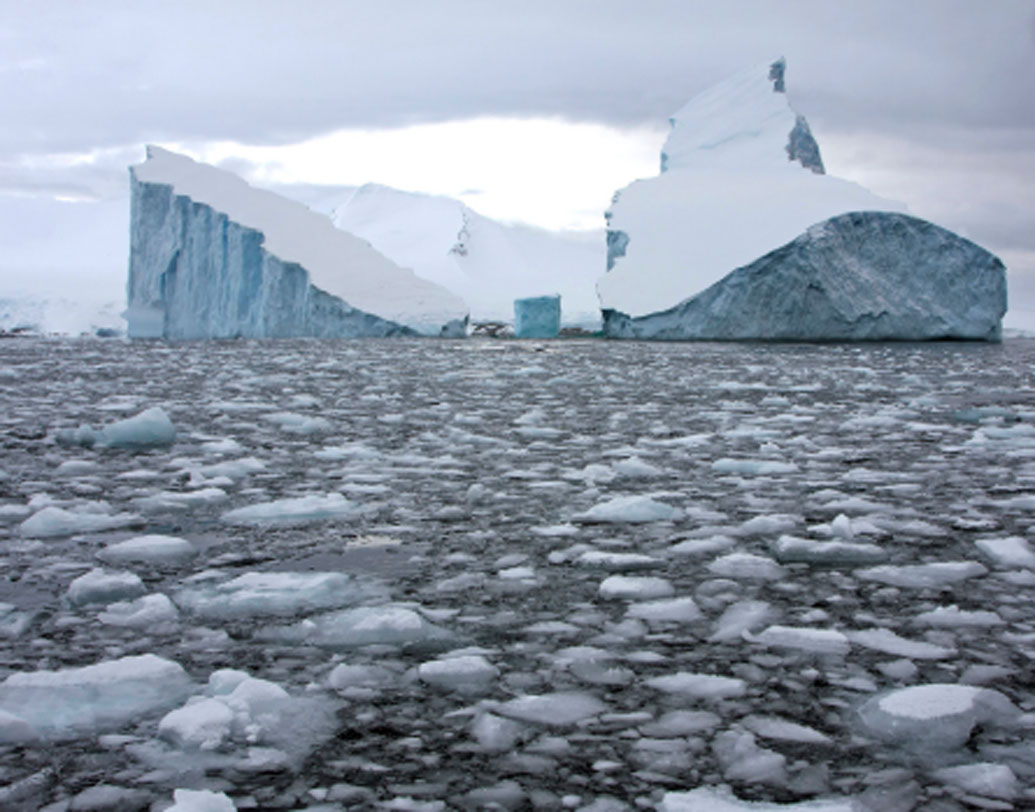 International news Meet Iceberg hunters of Atlantic ocean dgtl