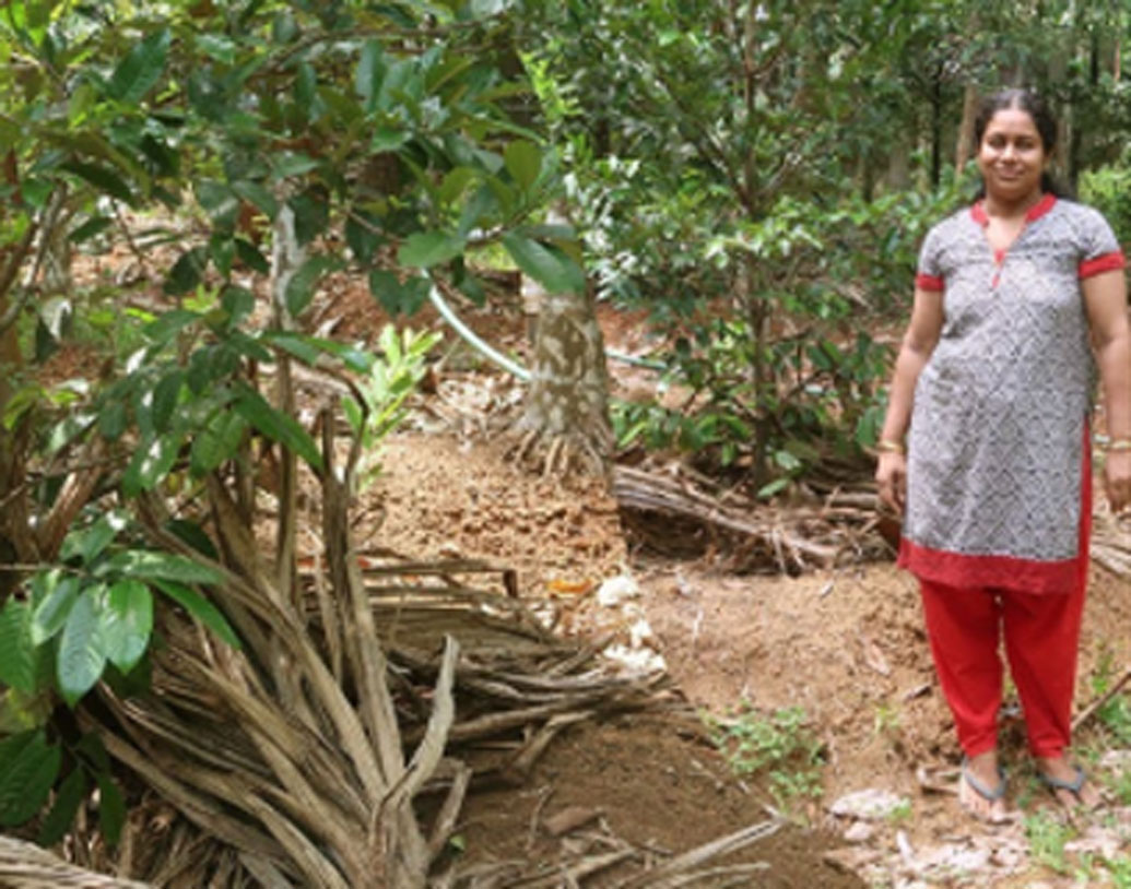 এখন মাসে অ্যানি কত উপার্জন করেন জানেন? প্রতি মাসে তাঁর আয় ১ লক্ষ টাকারও বেশি। কোনও কোনও মাসে সেটাও ছাড়িয়ে যায়, জানাচ্ছেন অ্যানি নিজেই।