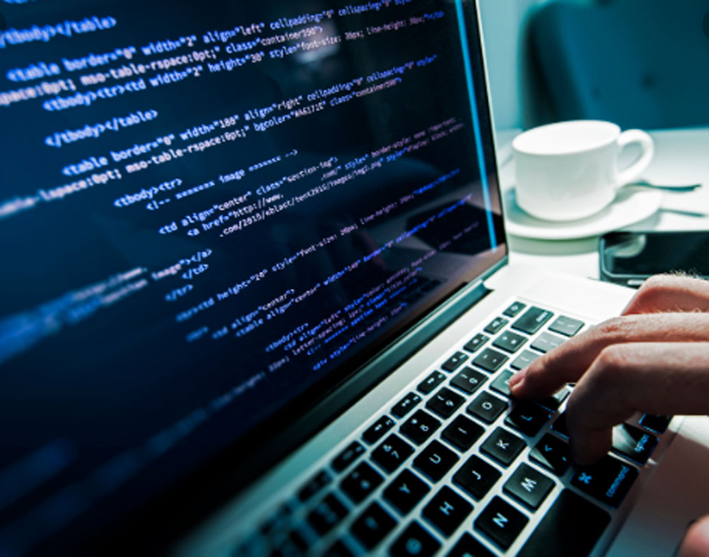 অ্যানি জানাচ্ছেন, তাঁর ভাই একজন সফটওয়্যার ইঞ্জিনিয়ার। বাগানের ভিডিয়ো করা, ছবি তোলা অ্যানির নেশা ছিল। সমস্ত ফাইল তিনি বাড়ির কম্পিউটারেই রাখতেন। একদিন ভাই তাঁকে ইউটিউবের কথা বলেন। কম্পিউটারের হার্ড ডিস্ক খারাপ হয়ে গেলেও অনলাইন প্ল্যাটফর্মে ফাইলগুলো সুরক্ষিত থাকবে বলেও জানান তিনি।