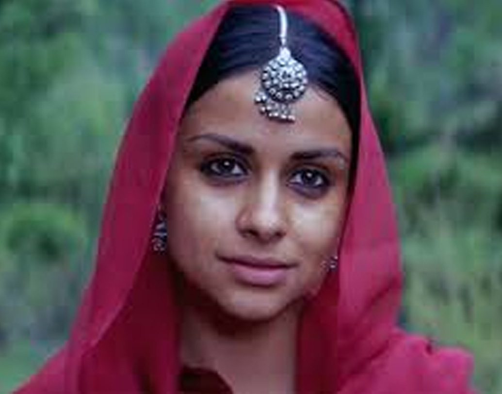 তাঁর প্রথম ছবি ‘ধূপ’ মুক্তি পায় ২০০৩ সালে। ২০০৬ সালে নাগেশ কুকুনুরের আইকনিক ছবি, ‘ডোর’। দর্শকমহলে উচ্চ প্রশংসিত এই ছবিতে নজর কেড়েছিল গুলের অভিনয়। এরপর ‘মনোরমা সিক্স ফিট আন্ডার’, ‘সামার ২০০৭’, ‘হেলো’, ‘অব তক ছপ্পন-২’-এর মতো ছবিতে দেখা গিয়েছে তাঁকে। গুলের অভিনীত শেষ ছবি ‘স্টুডেন্ট অব দ্য ইয়ার ২’।