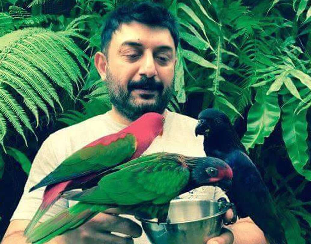 পরে এক সাক্ষাৎকারে তিনি জানান, অভিনয় বা ইন্ডাস্ট্রিকে তিনি যে খুব মিস করছিলেন, তাও নয়। বরং ভাল লাগছিল না স্টারডম। তিনি ভাল অভিনেতা হতে চেয়েছিলেন। নায়ক হওয়ার কোনও ইচ্ছে ছিল না। নায়ক হয়ে প্রাইভেসি বিসর্জন দেওয়া তাঁর পছন্দ হত না।