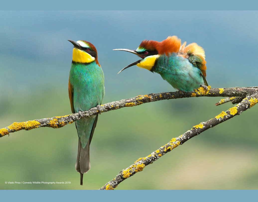 পরিবেশ বাঁচাতে সকলের সঙ্গেই হাত মিলিয়ে কাজ করতে হবে। পাশের দম্পতির মতো এত ঝগড়াঝাঁটি করলে কিন্তু চলবে না।