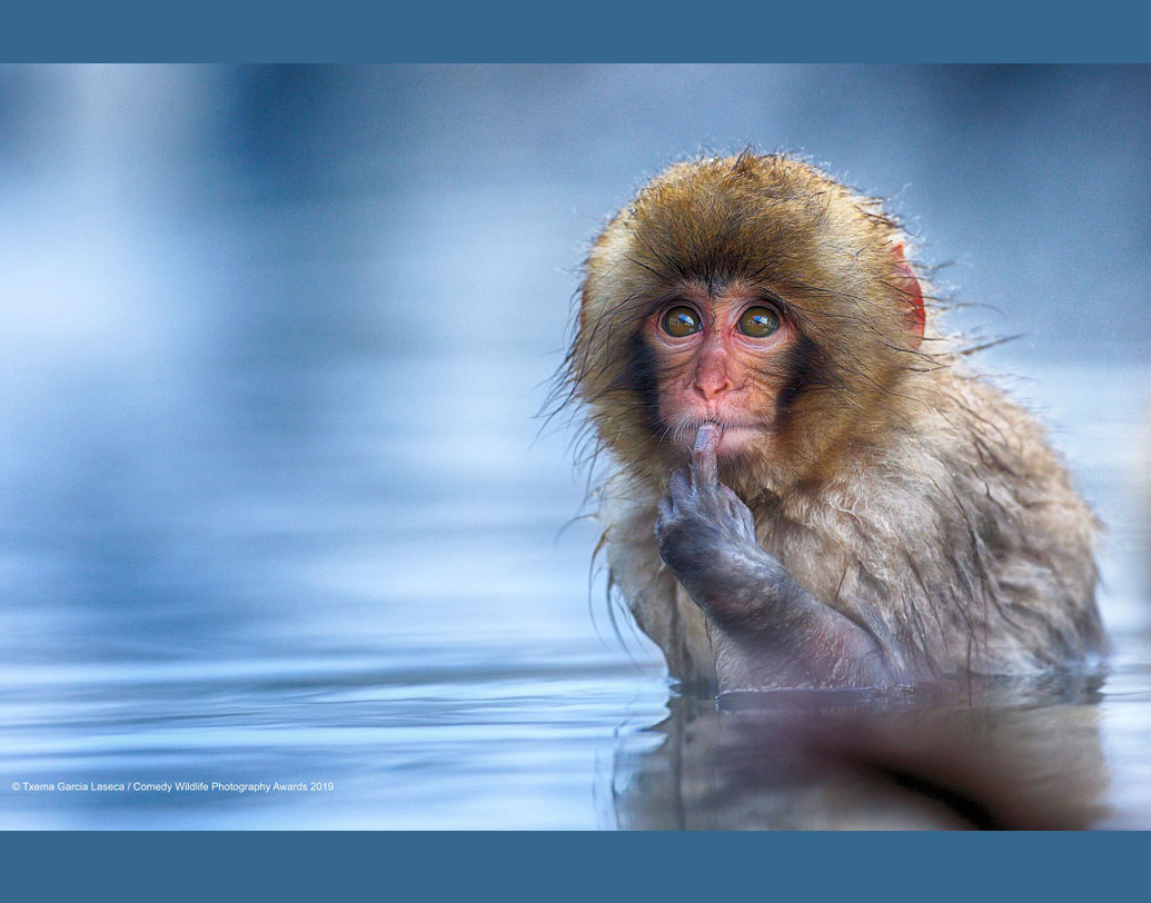 হিকস জানিয়েছেন, পরিবেশ রক্ষার কাজে তাঁরা সাহায্য করতে পারবেন। তা হলে তো এখন থেকেই কাজে লেগে পড়া উচিত। এমনটাই কী ভাবছেন বাঁ-পাশের ইনি?
