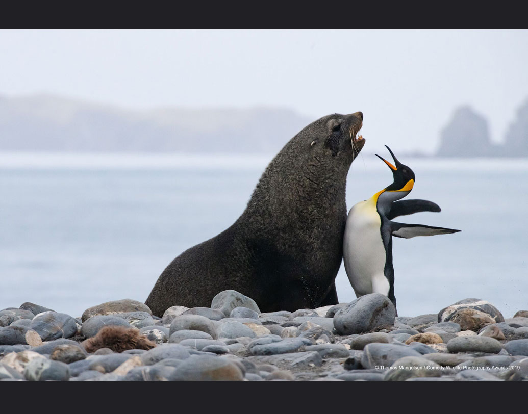 এই প্রতিযোগিতায় বিচারকেরা ছাড়াও অনলাইনে ভোটাভুটি করা যাবে বলে জানা গিয়েছে। নিজের প্রিয় ফোটোগ্রাফারকে জেতাতে একটা পিপলস চয়েস ক্যাটেগরিও করা হয়েছে। তবে তো একটা হাই-ফাইভ হয়েই যাক, কী বলেন!