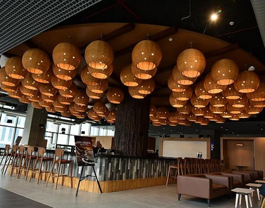 অফিস ক্যাম্পাস ৯.৫ একর জমির উপর গড়ে তোলা হয়েছে। মোট অফিস স্পেস ১০ লক্ষ ৮০ হাজার বর্গ ফুট। ১০টা ফুটবল মাঠ একসঙ্গে জুড়লে যতটা বড় এলাকা চোখের সামনে ভেসে উঠবে, প্রায় ততটা এলাকা জুড়ে আমাজনের নতুন অফিস।