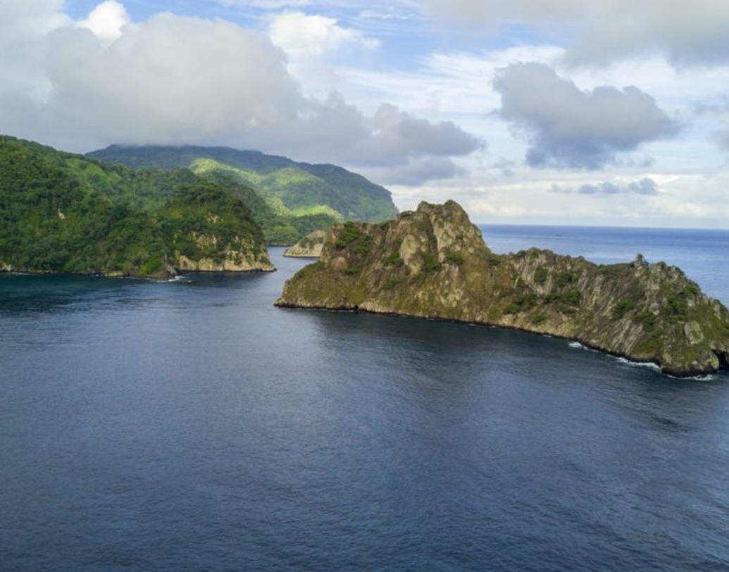 জনশ্রুতি ও কিংবদন্তিতে অবিশ্বাসী লোকজনের দাবি, জলদস্যুদের গল্প মনগড়া। আদতে কোকোজ দ্বীপে কোনও গুপ্তধনই নেই। যা আছে, তা হল অপূর্ব প্রাকৃতিক সম্পদ। ক্রান্তীয় অরণ্যের বিরল জীববৈচিত্রে ভরা এই দ্বীপের সেই অমূল্য সম্পদকে রক্ষা করতে পাহারা দেয় কোস্টারিকা সরকারের বনকর্মীরা।   (ছবি : সোশ্যাল মিডিয়া)