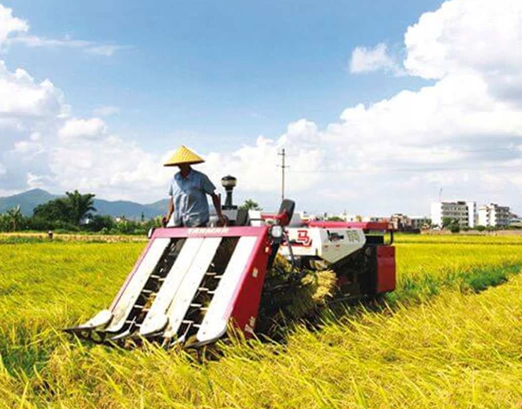 কথা হচ্ছে বেজিংয়ের চায়না এগ্রিকালচারাল ইউনিভার্সিটি নিয়ে। ২০০৯ সাল থেকে এই নিয়ম চালু করেছে এই বিশ্ববিদ্যালয়। কেন এমন নিয়ম?