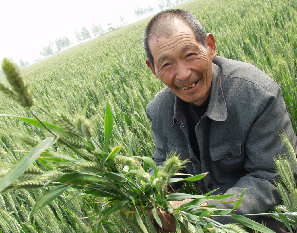 পড়ুয়ারা নিজেদের পড়াশোনা কাজে লাগিয়ে প্রথমে জমির মাটি পরীক্ষা করে নেন। মাটির প্রকৃতি অনুযায়ী, কোন ধরনের বীজ বপন করা উচিত তা প্রথমে চাষিদের জানান তাঁরা। সেই মতো কোন জমিতে কী শস্য চাষ হবে তার একটা তালিকা বানান।