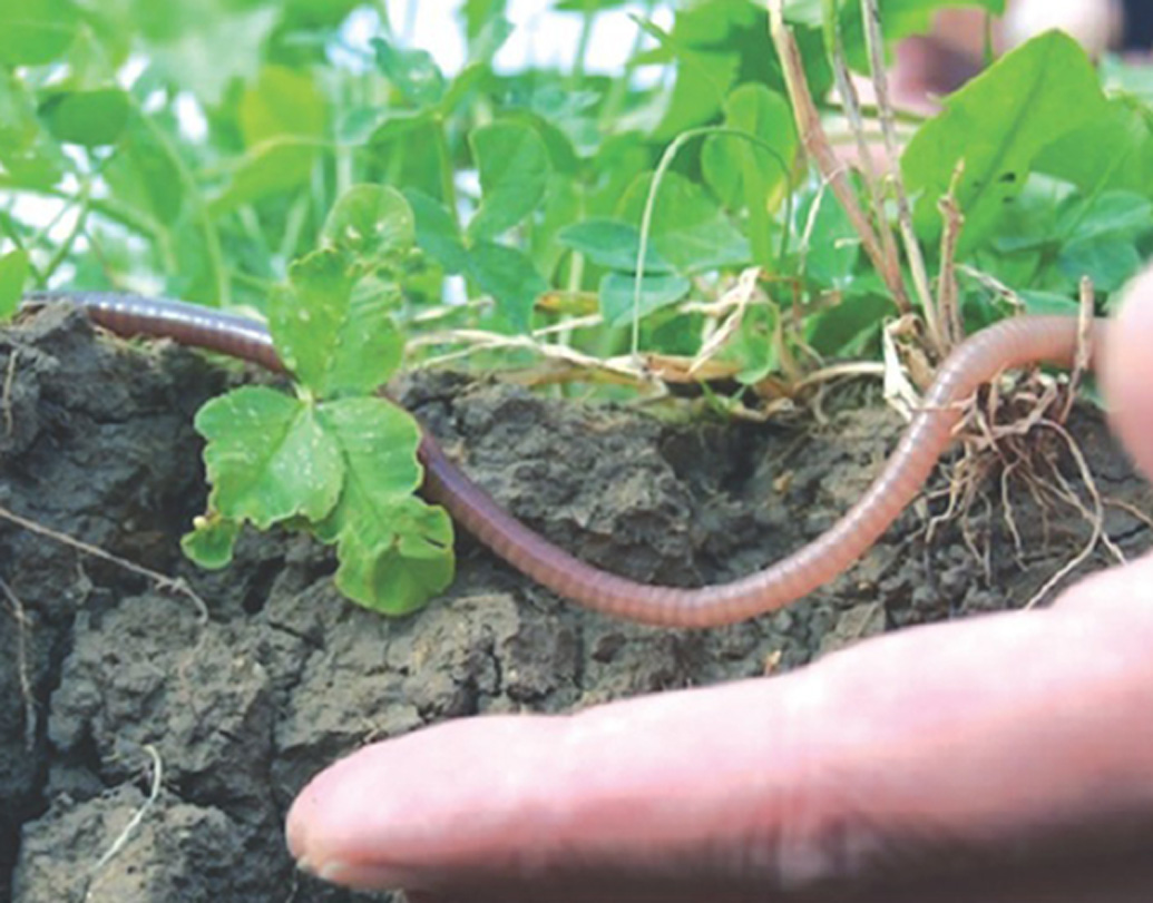 ২০১৪ সালে ইলেক্ট্রনিক্স অ্যান্ড কমিউনিকেশন ইঞ্জিনিয়ারিং নিয়ে পড়াশোনা শেষ করেন। অভিষেকের বাড়িতে চাষবাসের চল রয়েছে। কিন্তু ইঞ্জিনিয়ারিং পড়ে চাষ! একেবারেই পছন্দ ছিল না তাঁর। তাঁর কাছে চাষাবাদের অর্থ ছিল ঘণ্টার পর ঘণ্টার মাঠে রোদের মধ্যে পরিশ্রমের কাজ। এবং প্রচুর পরিশ্রমের বিনিময়ে যৎসামান্য কিছু অর্থ। কখনও তা আবার বিনিয়োগের থেকেও কম হতে পারে।