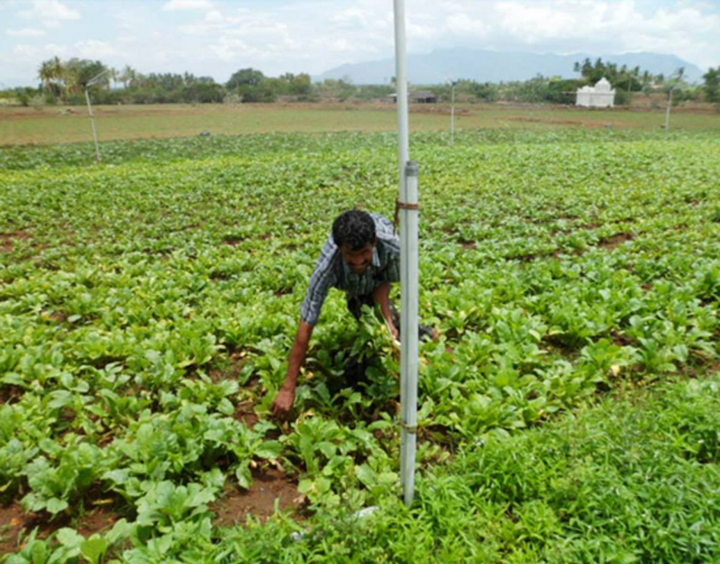 বাবার কৃষিকাজে কোনও সাহায্যই করবেন না, তা প্রথম থেকেই পরিবারকে ভাল ভাবে বুঝিয়ে দিয়েছিলেন অভিষেক। নিজের চাকরি এবং ভবিষ্যত্ নিয়ে সমস্ত পরিকল্পনাও করে ফেলেছিলেন।