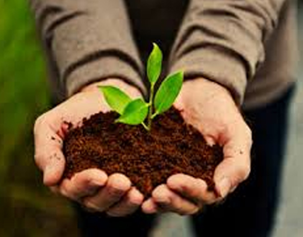 রোজ ১৫-২০ মিনিট মাত্র লাগে গাছে জল দিতে তাঁর। সম্পূর্ণ জৈবিক পদ্ধতিকে ফসল ফলিয়ে যাচ্ছেন এই ইলেক্ট্রনিক্স অ্যান্ড কমিউনিকেশন ইঞ্জিনিয়ার। জমিতে বায়োগ্যাস প্ল্যান্টও লাগিয়েছেন। জমির সমস্ত বর্জ্য দিয়ে বায়োগ্যাস তৈরি করেন এবং সেই গ্যাসেই বাড়িতে রান্না হয়। ইঞ্জিনিয়ার থেকে চাষি হয়ে কতটা সুফল পেলেন?