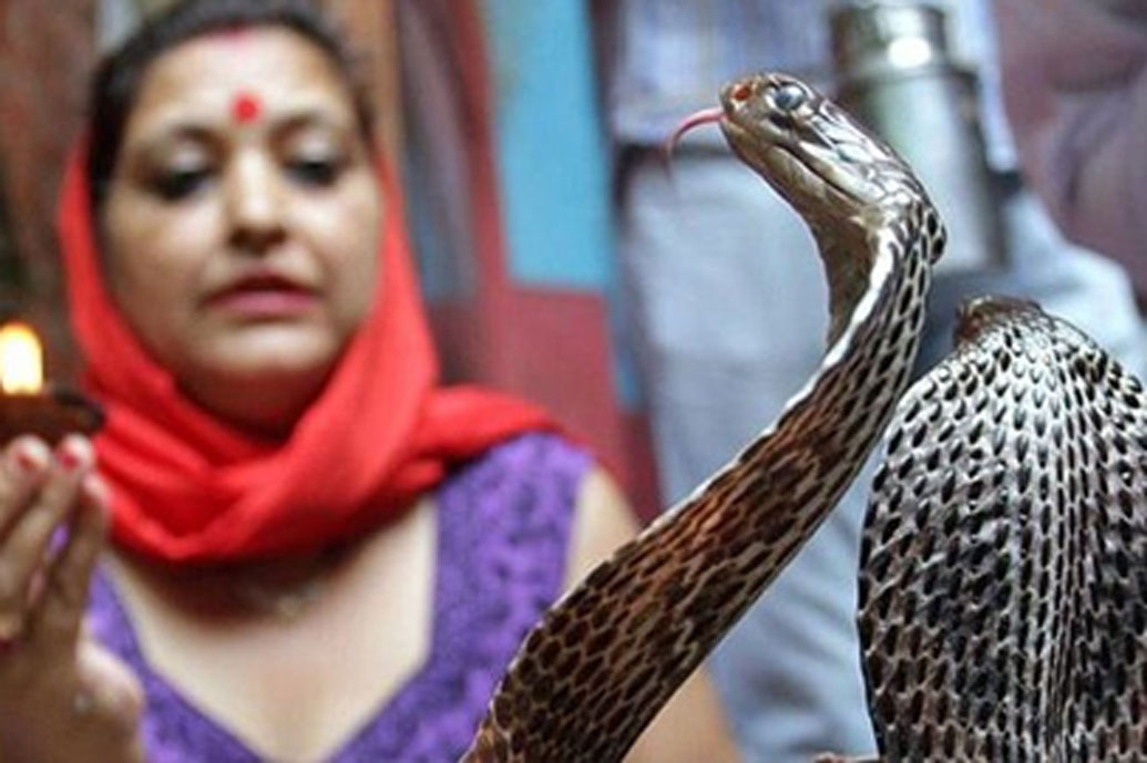 এ গ্রামে মানুষ আর সাপেদের মধ্যে অবাক করা সহাবস্থান। এখানে মানুষ বা সাপ কেউই একে অপরকে ভয় পায় না। অত্যন্ত বিষধর সাপ স্বাধীন ভাবে গৃহস্থের বাড়িতে ঘুরে বেড়ায়! ঠিকই পড়ছেন। এটাই ভারতের একমাত্র গ্রাম যেখানে এমন নজির গড়ে উঠেছে এবং সাপে কামড়ে এখনও পর্যন্ত কোনও মৃত্যুও ঘটেনি এই গ্রামে।