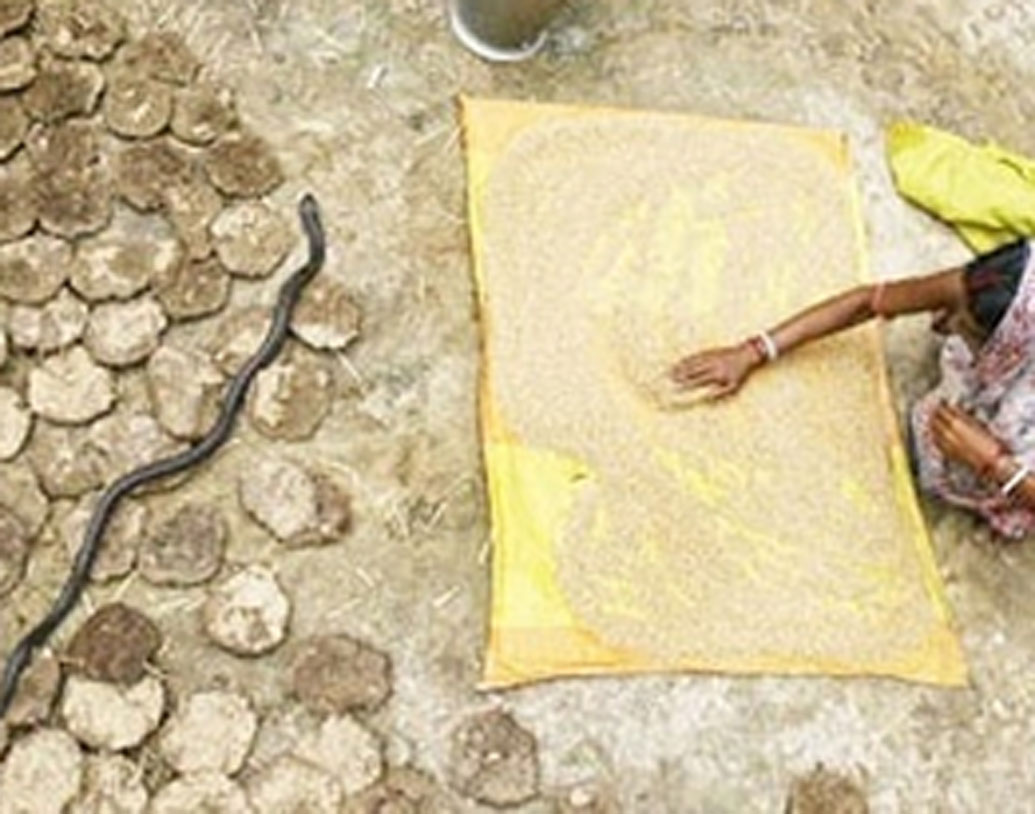 পুণে থেকে মাত্র ২০০ কিলোমিটার দূরে রয়েছে এই গ্রামটি। শুষ্ক জলবায়ুর কারণে নানা প্রজাতির সাপেদের বসবাসের আদর্শ জায়গা এই গ্রাম।