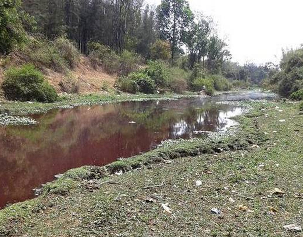 যতটা পারতেন বাবাকে সংসারে সাহায্য করার চেষ্টা করতেন। তবে ছোট থেকেই প্রকৃতিপ্রেমী ছিলেন চিদানন্দ। চোখের সামনে প্রকৃতির ক্রমে ধ্বংস হয়ে চলার রূপ কিছুতেই মেনে নিতে পারতেন না। প্রকৃতি বাঁচাতে, সর্বোপরি নিজের রাজ্য কর্নাটককে বাঁচাতে বালি মাফিয়াদের বিরুদ্ধে লড়াইয়ের সিদ্ধান্ত নেন তিনি।
