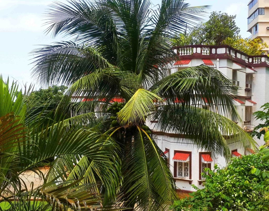 বাংলোর বাইরেটা আগাগোড়া সাদা রং করা। ২০টা বেডরুম রয়েছে এতে। এক একটা ঘর এতটাই বড় যে, তাতে ১০০ লোক দাঁড়িয়ে পড়তে পারবেন। আর এর হল রুমে ৭০০-৮০০ জন লোক একসঙ্গে ঘুরে বেড়াতে পারবেন। এই হল রুমেই জাটিয়া পরিবারের মেয়েদের বিয়ের অনুষ্ঠান হয়েছিল।