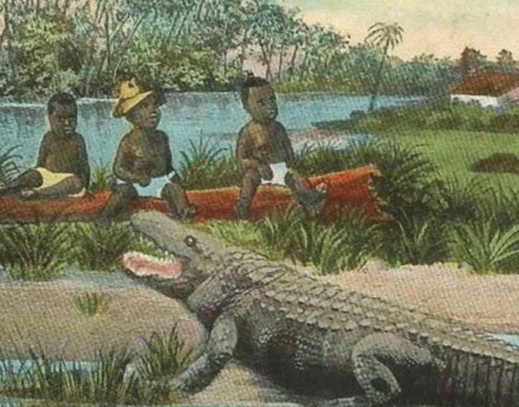 তারপর আড়াল থেকে গুলি করে কুমিরকে ঘায়েল করা। আর এই টোপ হিসাবেই ব্যবহার করা হত কৃষ্ণাঙ্গ শিশুদের। একে বলা হয় ‘অ্যালিগেটর বেট’ বা ‘গেটর বেট’।