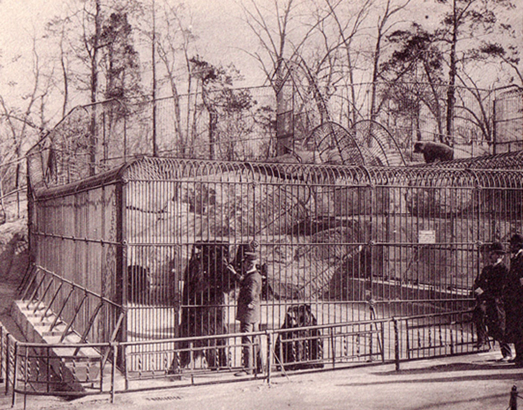 তেমন আবার এরও আগে ১৯০৮ সালে ওয়াশিংটন টাইমসে প্রকাশিত হয়েছিল নিউ ইয়র্ক চিড়িয়াখানার ঘটনা। তাতে লেখা হয়েছিল, ওই চিড়িয়াখানার এক কর্মী দুই কৃষ্ণাঙ্গ শিশুকে টোপ হিসাবে ব্যবহার করেন। কারণ চিড়িয়াখানায় ঘুরতে আসা লোকেরা যাতে কুমির দেখতে পান তাই কুমিরগুলোকে শীতকালীন ট্যাঙ্ক থেকে অন্য ট্যাঙ্কে সরানোর দরকার পড়েছিল।