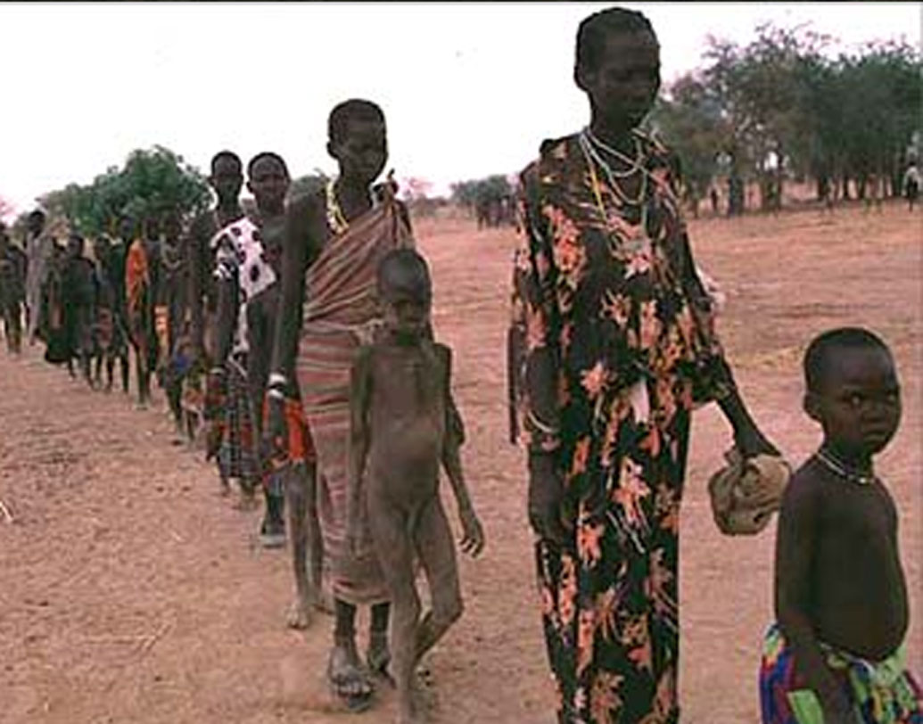 কিন্তু চিড়িয়াখানা কর্তৃপক্ষের সাফাই একেবারেই সন্তোষজনক ছিল না। কারণ, সে সময়ে আফ্রিকান মহিলারা পড়াশোনা জানতেন না। লিখতে-পড়তে পারতেন না তাঁরা। তাহলে কী ভাবে বিজ্ঞাপনের ভাষা পড়ে ফেললেন? প্রশ্ন উঠেছিল। যার কোনও জবাব দেননি কর্তৃপক্ষ।