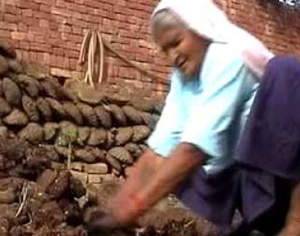 সব বাধা উপেক্ষা করে ৬৫ বছর বয়সে নতুন পথে চলা শুরু তাঁর। পরিবারের কেউ যাতে তাঁর দিকে আঙুল তুলতে না পারেন, সে জন্য ভোরে ঘুম থেকে উঠে সংসারের কাজ করতেন। রান্না করা, গরুর দেখভাল করা— এ সব শেষ করে তারপর যেতেন প্রশিক্ষণ নিতে।