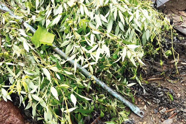 Mine labour arrested on murdering his wife