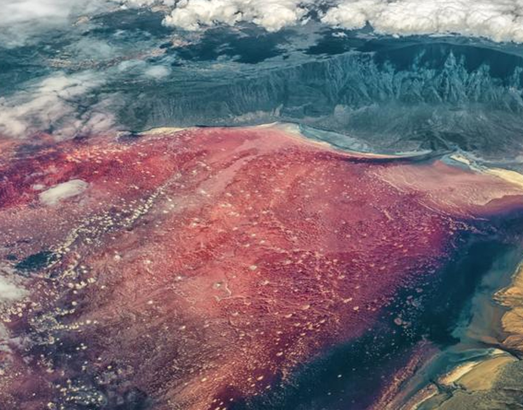 এর পিছনের রহস্য জানতে শুরু হয় গবেষণা। জানা যায়, সোডিয়াম কার্বোনেট এবং সোডার পরিমাণ অত্যধিক বেশি এই হ্রদের জলে। প্রচুর সোডিয়াম ও কার্বোনেট যুক্ত ট্র্যাকাইট লাভা দিয়ে প্রায় ২৬ লক্ষ বছর আগে প্লিসটোসিন যুগে তৈরি হয়েছে নেট্রন হ্রদের তলদেশ।