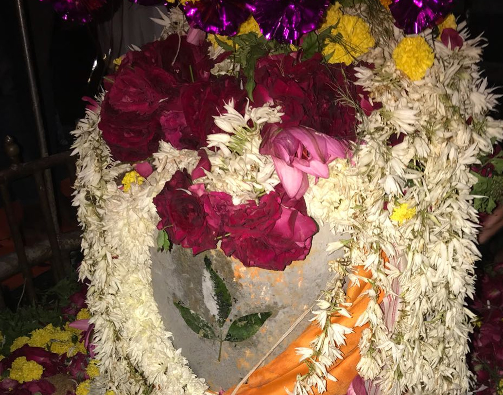 ভাটার সময় মন্দিরে পূর্ণমাত্রায় পুজো অর্চনা হয়। এমনকি, মন্দির লাগোয়া জমিতে ঘুরেও বেড়ানো যায়।