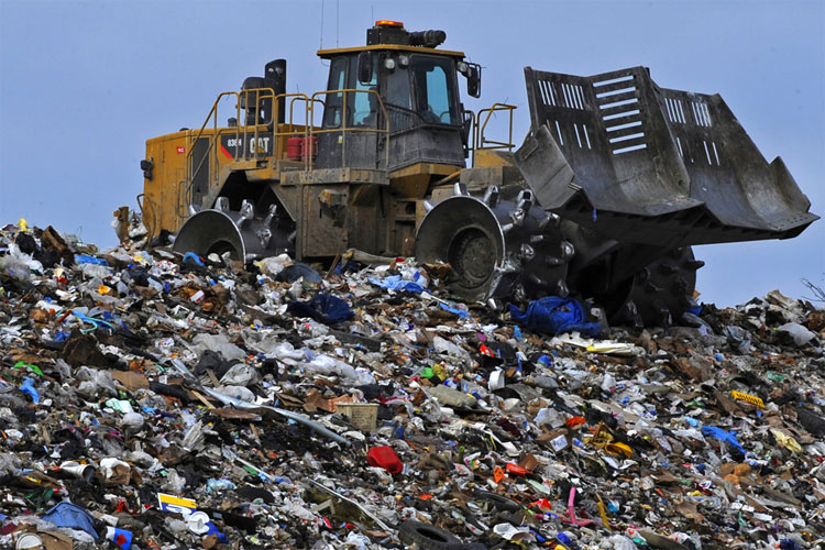 State Government to take strong action against violation of solid waste management rules