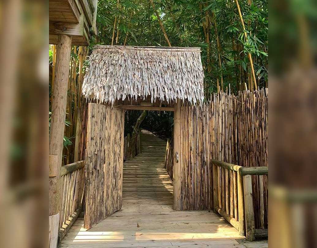 রয়েছেন সুন্দর, ছিমছাম, বাঁশের বাংলোতে। ফাইভ-স্টার রেস্তোরাঁ, পেজ-থ্রি পার্টির ফ্ল্যাশলাইট  থেকে অনেকটা দূরে যে ‘পারফেক্ট হলিডে’ কাটাচ্ছেন মৌনী, তা তাঁর ইনস্টাগ্রাম ছবিগুলোই বারেবারে জানান দিচ্ছে।