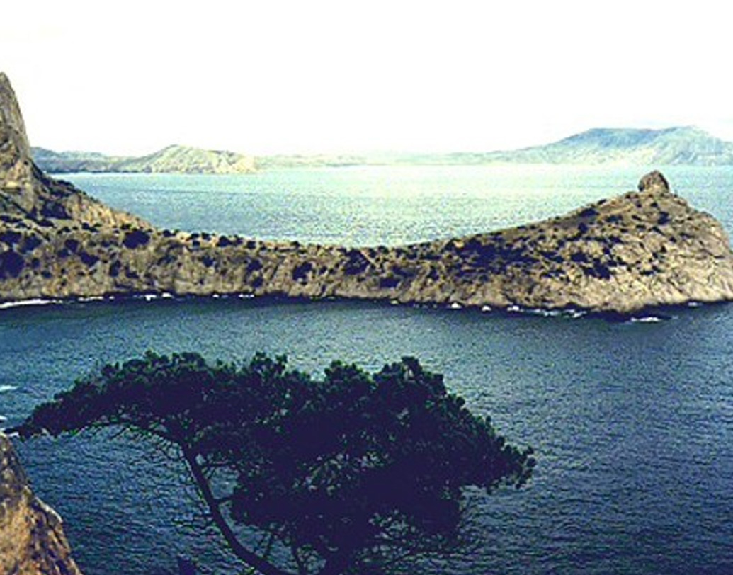 বিভিন্ন দেশ আক্রমণ করে তারপর তাতে লীন হয়েছে দুর্ধর্ষ হুন জাতি। কিন্তু এই বর্বর যাযাবর জাতির উৎস কোথায় ছিল? তা নিয়ে এখনও ভিন্নমত ইতিহাসবিদরা। এতদিন অবধি মেনে নেওয়া হত, তারা এসেছিল পূর্ব এশিয়া থেকে। কিন্তু ক্রোয়েশিয়ার এই আবিষ্কারে বিশেষজ্ঞদের ধারণা, হুনদের এই শাখা ইউরোপে এসেছিল কৃষ্ণসাগরের উত্তর থেকে।