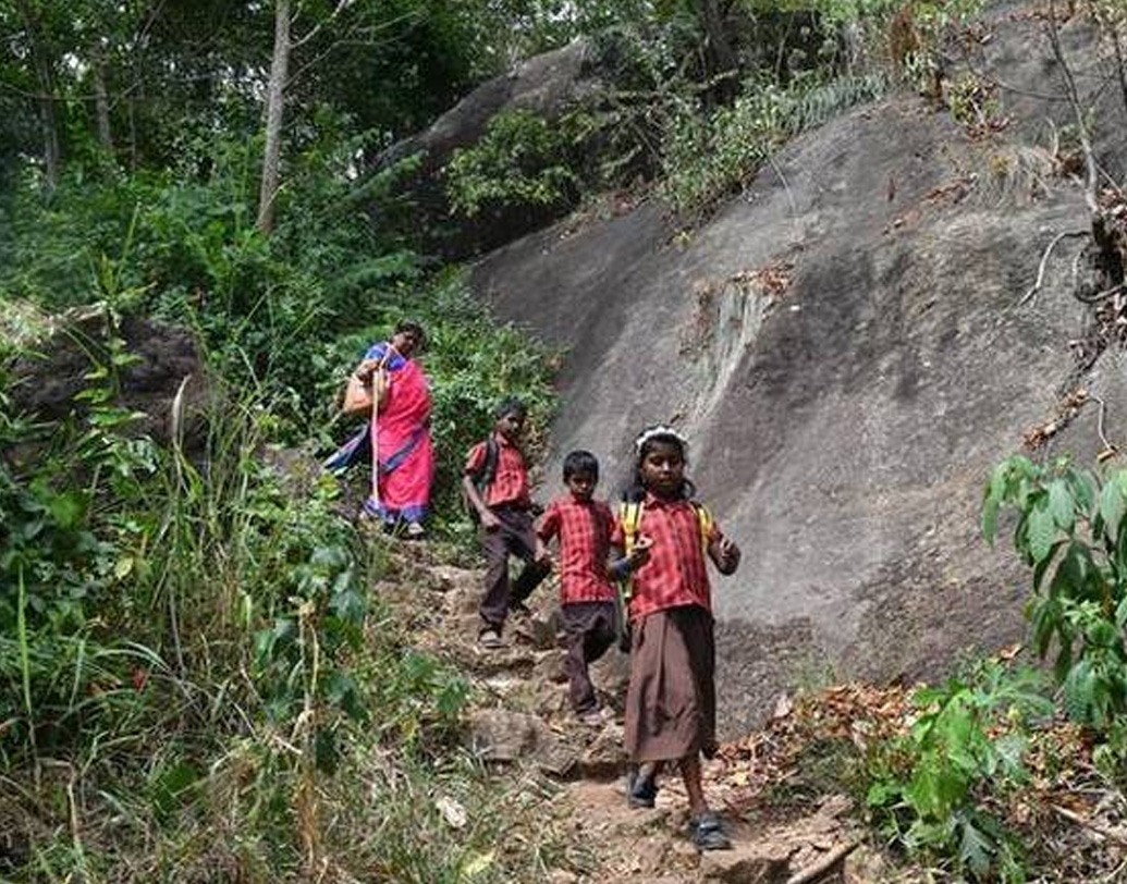 এ বার শুরু হয় ঊষাকুমারীর জঙ্গল-পাড়ি। একটি মাত্র লাঠি সম্বল করে তিনি দু’ঘণ্টা ধরে ঘন অরণ্যের মধ্যে দিয়ে হেঁটে যান পাহাড়ি পথে। বন্যপ্রাণীদের আক্রমণের আশঙ্কায় বিপদসঙ্কুল এই পথের পরে ঊষাকুমারী পৌঁছন নিজের কর্মক্ষেত্র, ‘অগস্ত্য একা আদ্যপক স্কুল’-এ। (ছবি : সোশ্যাল মিডিয়া)