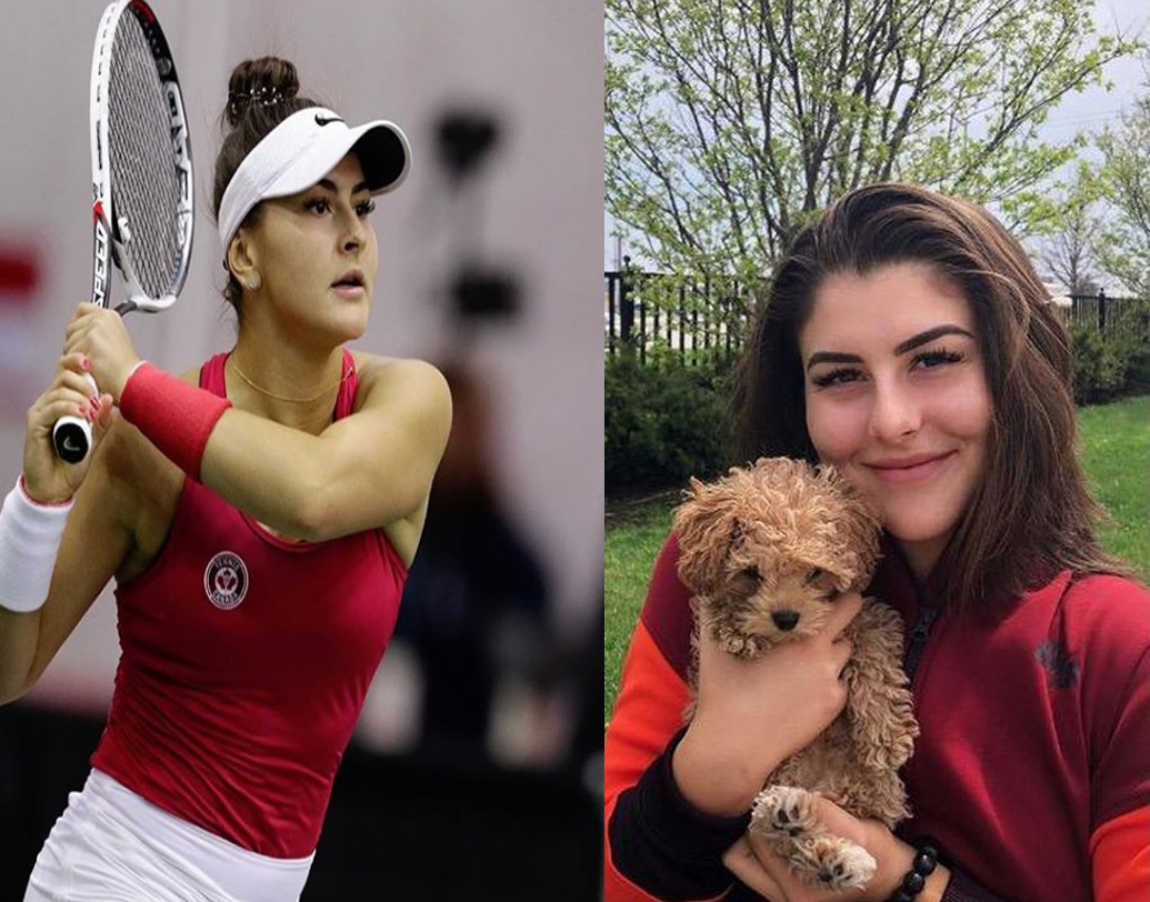 ২০০৬ সালে মারিয়া শারাপোভার পর কনিষ্ঠতম মহিলা হিসাবে ১৯ বছর বয়সি আন্দ্রেস্কু নিজের প্রথম গ্র্যান্ড স্ল্যাম ফাইনালেই জিতলেন। ছুঁয়ে ফেললেন মনিকা সেলেসকে। তাঁর খেলার মধ্যে কিম ক্লিস্টার্সের খেলার ঘরানা খুঁজে পান বিশেষজ্ঞরা।