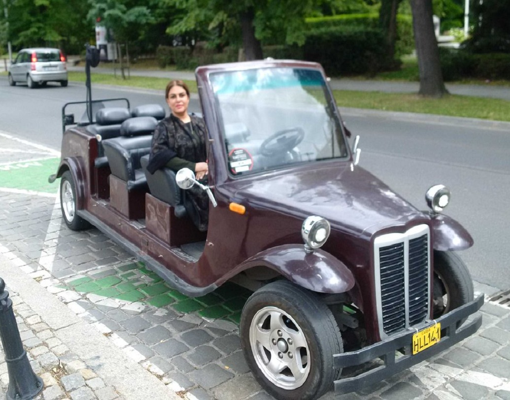 পাকিস্তান এবং মোনাকোর মধ্যে কূটনৈতিক সম্পর্কে গুরুত্বপূর্ণ ভূমিকা রয়েছে তাঁর। ২০১১ সালে মোনাকোয় পাকিস্তানের সাম্মানিক কনসাল জেনারেল নিযুক্ত হন তিনি।  তবে শুধুমাত্র আন্তর্জাতিক কূটনীতি এবং ব্যবসাই সামলান না নমিরা সলিম। ভাস্কর্য নিয়েও সমান আগ্রহ রয়েছে তাঁর।