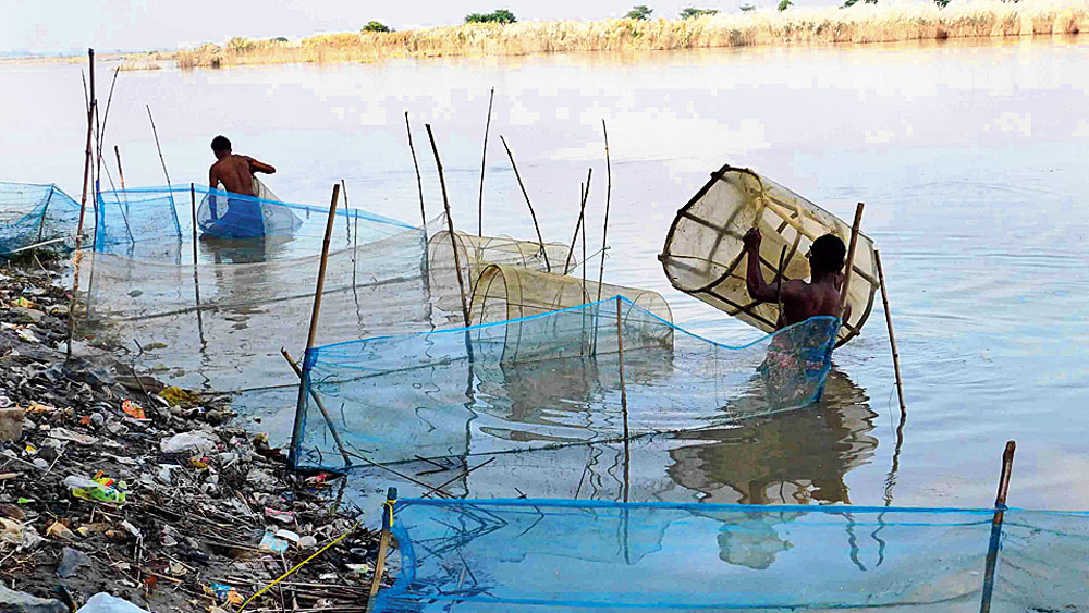 Special article about Padma River and the conditions of fishermen