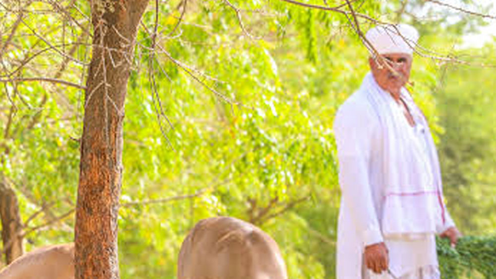 প্রায় মরতে বসেছিল হরিণটি। কোনওক্রমে নিজেকে টেনে রাস্তার পাশে নিয়ে গিয়েছিল। পীরারামের ব্যথিত হৃদয় তা চোখের সামনে দেখতে পারছিল না। হরিণটিকে কোলে তুলে নিয়ে একটি গাড়ি থামিয়ে তিনি পশু চিকিত্সালয়ে নিয়ে যান। নিজে সমস্ত খরচ করেন। তারপর বাড়িতে নিয়ে আসেন তাকে।