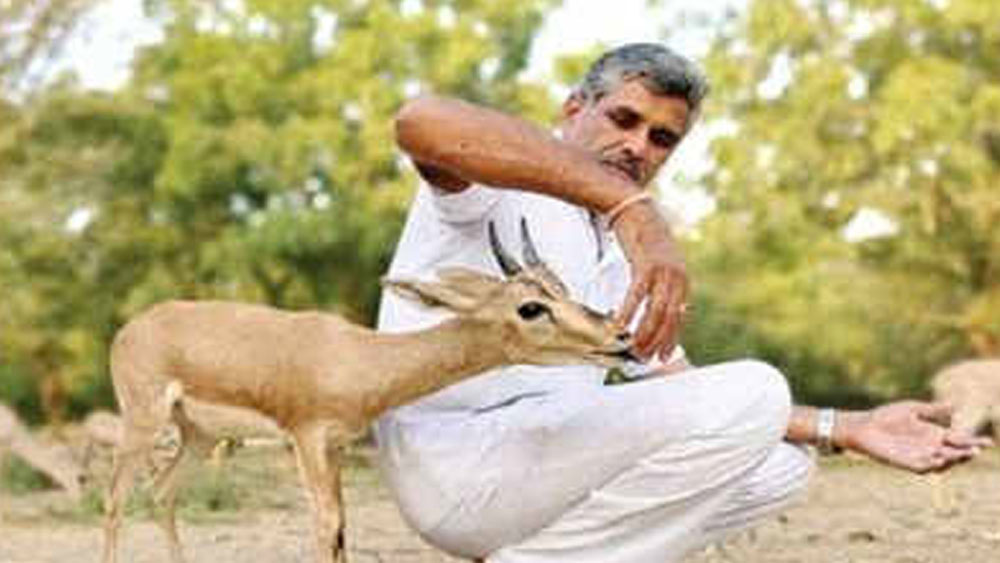 এর পর থেকে যখনই কোনও আহত পশুর কথা শুনতেন বা দেখতে পেতেন, তাকে নিজের বাড়িতে এনে চিকিত্সা করতেন পীরারাম। তাঁর পরিবারও তাঁকে সাহায্য করতেন।