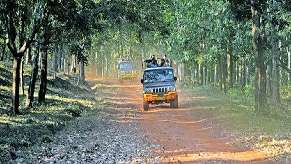 তবে খারাপ লোকেরও অভাব নেই। একসময় তাঁর বিরুদ্ধে বেআইনি ভাবে বন্যপ্রাণী ঘরে রাখার অভিযোগ জমা পড়ে। পর দিনই বন দফতরের লোকেরা তাঁর বাড়িতে এসে হাজির।