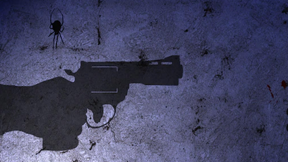 কিন্তু দায়িত্ববান বাবা হওয়ার বদলে স্টাইলস ক্রমশ সুরাসক্ত হয়ে পড়লেন। নেশার ঘোরে স্ত্রীর উপর অকথ্য নির্যাতন চালাতেন। গ্র্যাডি মেনে নিতে পারেননি তাঁর কিশোরী কন্যার প্রেমের সম্পর্কও। বিয়ের আগের দিন ঠান্ডা মাথায় নিজের শটগান দিয়ে মেয়ের হবু স্বামীকে খুন করেন গ্র্যাডি।