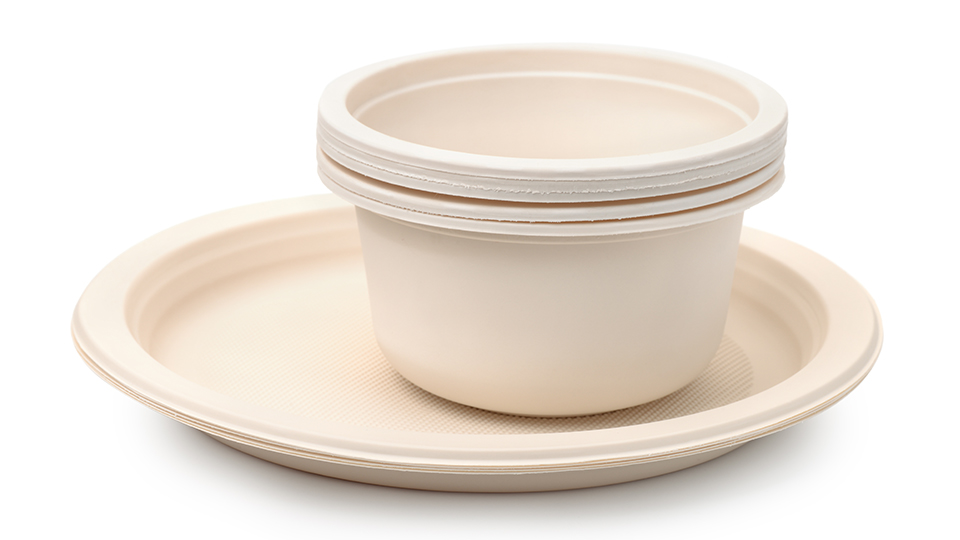  মিষ্টির বাক্স, প্লাস্টিকের কাপ, চামচ, ছুরি, বাটি, নিমন্ত্রণের কার্ড, সিগারেটের প্যাকেট, কাচ পরিষ্কার করার বাড, আইসক্রিমের স্টিক— সবই এ বার থেকে নিষিদ্ধ তালিকায় পড়ছে। 