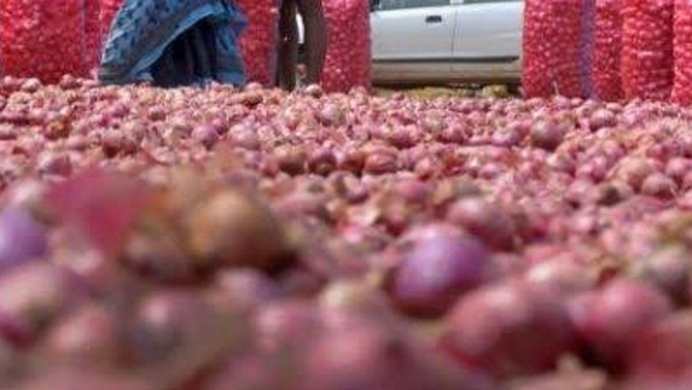 এ বার এই তারজালির উপর সমস্ত পেঁয়াজগুলো ছড়িয়ে দেন। নির্দিষ্ট দূরত্বে পুরো ঘর জুড়েই লাগিয়ে দেন মোটা পাইপ। যা একেবারে নীচ পর্যন্ত বিস্তৃত। আর পাইপের একেবারে বাইরে লাগিয়ে দেন ফ্যান।