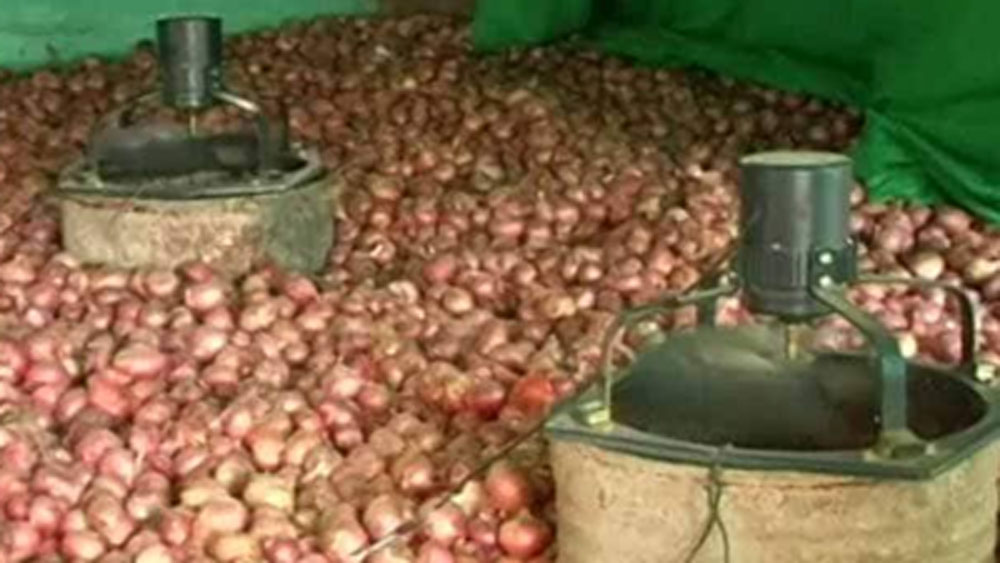 এই পুরো ব্যবস্থাটা একটা কোল্ড স্টোরেজের মতো কাজ করে। ফ্যান চালালেই ঠান্ডা হাওয়া একেবারে নীচ পর্যন্ত প্রবেশ করে। পুরো ঘরটা ঠান্ডা হয়ে যায়। এতে বেশির ভাগ পেঁয়াজই ভাল থাকে।