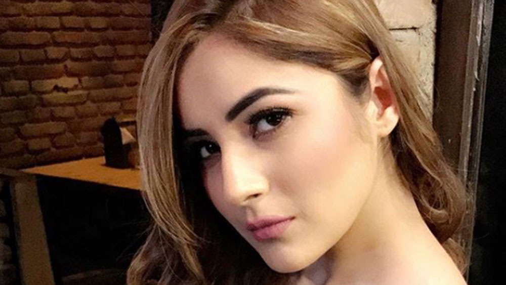 তিনি একদিকে অভিনেত্রী, গায়িকা, মডেল। তবে যে বিষয়টা নিয়ে ইদানীং তিনি চর্চায় উঠে এসে এসেছেন তা এ সবের থেকে একটু আলাদা। বিগ বস সিজন ১৩-এর একজন জনপ্রিয় প্রতিযোগী তিনি।