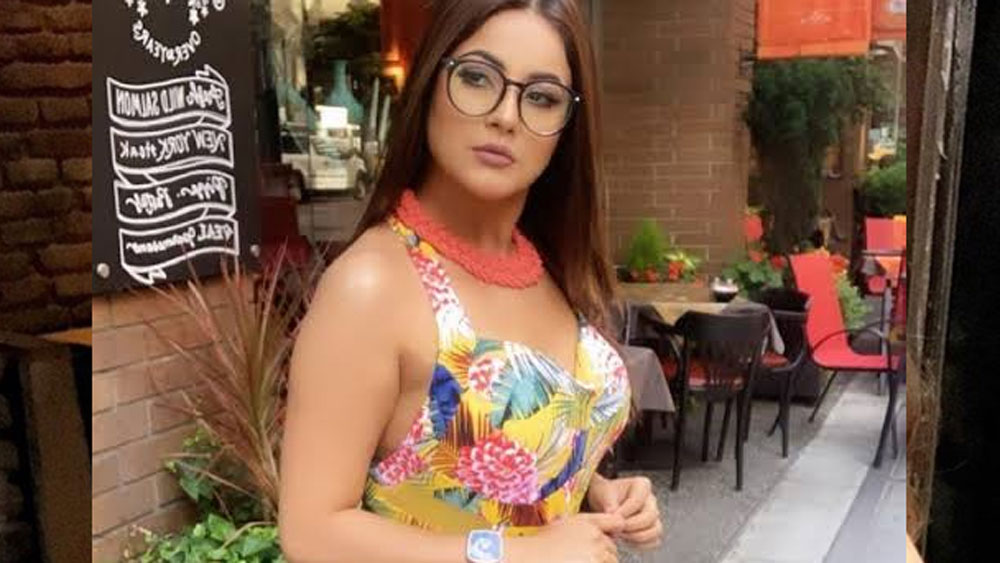 ১৯৯৩ সালে পঞ্জাবে জন্ম শাহনাজের। বাবা-মা দু’জনেই পঞ্জাবি। সেখানেই তাঁর বেড়ে ওঠা এবং পড়াশোনা।