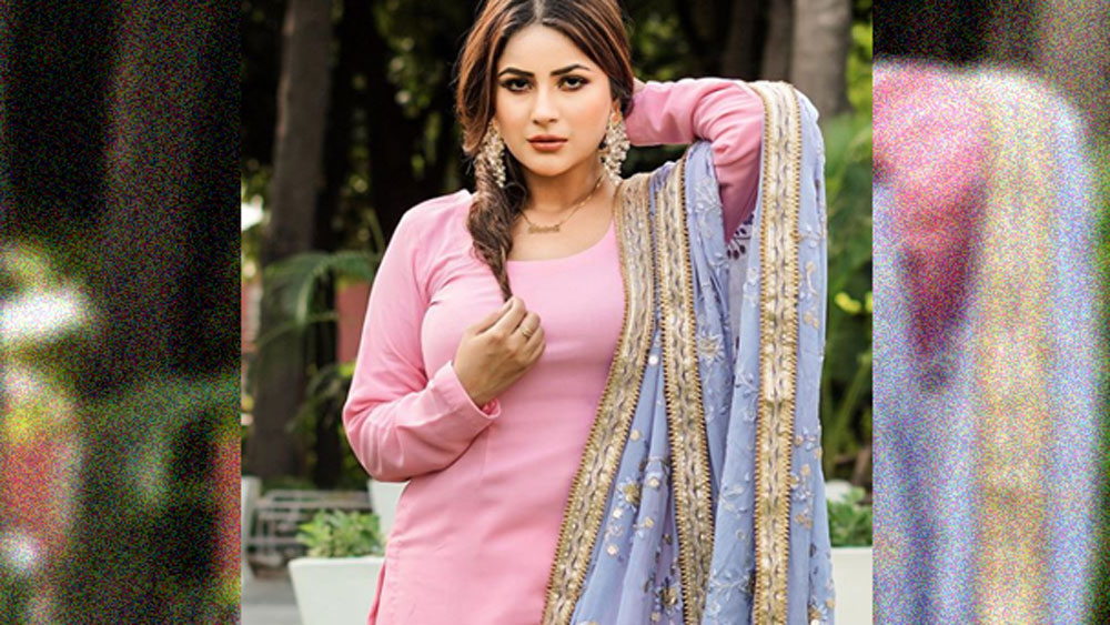 ছোট থেকেই অভিনেত্রী হওয়ার ইচ্ছা ছিল শাহনাজের। ২০১৫ সালে তিনি প্রথম পঞ্জাব ফিল্ম ইন্ডাস্ট্রিতে পা রাখেন। সেখানকার ফিল্ম ইন্ডাস্ট্রিতে ভীষণ জনপ্রিয় মুখ শাহনাজ।