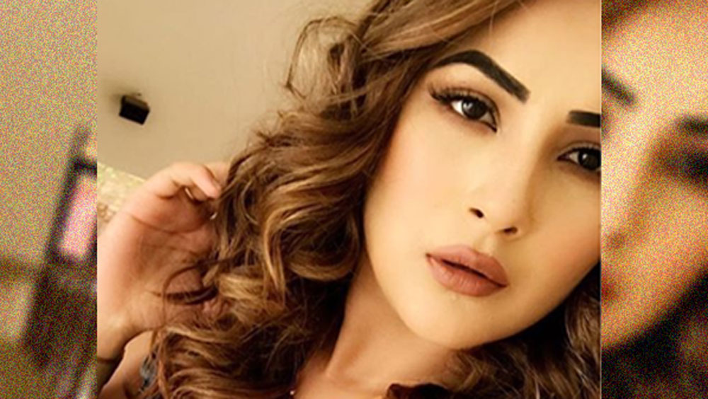 সে রাজ্যে বিপুল জনপ্রিয় এই নায়িকাকে পঞ্জাবের ক্যাটরিনা কইফও বলা হয়।